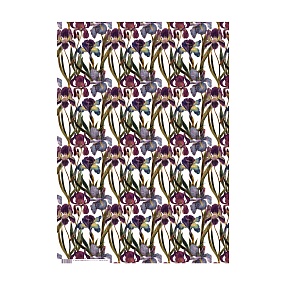 Упаковочная бумага BrunoVisconti®
 (50 х 70 см)
"FLORA.ИРИСЫ"
Арт. 2-794/03