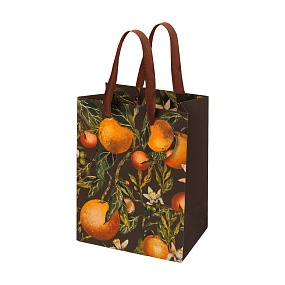 Пакет бумажный упаковочный подарочный BrunoVisconti®
 (180 х 230 х 100 мм)
"FLORA.PARADISE.ORANGES"
Арт. 2-851/15