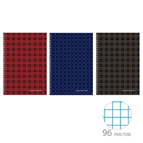 Тетрадь общая Альт®
А4 (200 х 285 мм)
"ШОТЛАНДКА" 96 л., клетка
Арт. 7-96-002
обложка в ассортименте