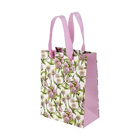 Пакет бумажный упаковочный подарочный BrunoVisconti®
 (180 х 230 х 100 мм)
"FLORA.КЛЕВЕР"
Арт. 2-851/20