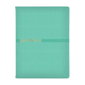 Дневник школьный BrunoVisconti®
А5
"JOY" зефирный мятный 48 л.
Арт. 10-307/01