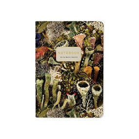 Тетрадь общая BrunoVisconti®
А6 (105 х 148 мм)
"FLORA.ЭЛЬФИЙСКИЙ ЛЕС" 32 л., линейка
Арт. 7-32-506/25