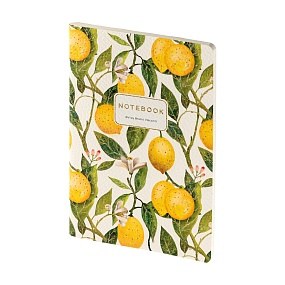 Тетрадь общая BrunoVisconti®
А5 (147 х 210 мм)
"FLORA.PARADISE.LEMONS" мультиколор 60 л., линейка
Арт. 7-60-1315/18