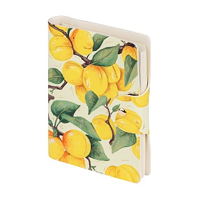 Ежедневник BrunoVisconti® недатированный
В6 (130 х 175 мм)
"FLORA.PARADISE.АБРИКОСЫ" 272 стр.
Арт. 3-812/12