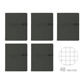 Тетрадь общая BrunoVisconti®
А5 (165 х 203 мм)
"MY COLOR" АНТРАЦИТ 48 л., клетка
Арт. 7-48-1379
