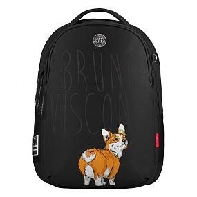 Рюкзак BrunoVisconti®
классический суперлегкий
черный с эргономичной спинкой
«КОРГИ»
Арт. 12-008-074/01