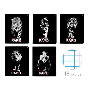 Тетрадь общая Альт®
А5 (165 х 203 мм)
"RAPID" 48 л., клетка
Арт. 7-48-1170
обложка в ассортименте