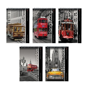 Блокнот Альт®
А5 (127 х 202 мм)
"ГОРОДА"  40 л.
Арт. 3-40-463
обложка в ассортименте