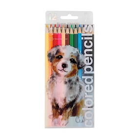 Карандашии цветные BrunoVisconti®
12  цветов, грифель 3 мм
CuteFriends "ЩЕНОЧЕК"
Арт. 30-0046/01