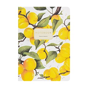 Тетрадь общая BrunoVisconti®
А5 (147 х 210 мм)
"FLORA.АБРИКОСЫ" 40 л., клетка
Арт. 7-40-001/225