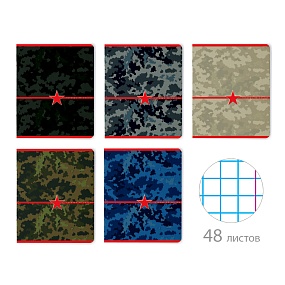 Тетрадь общая Альт®
А5 (165 х 203 мм)
"МИЛИТАРИ.КАМУФЛЯЖ" 48 л., клетка
Арт. 7-48-604
обложка в ассортименте