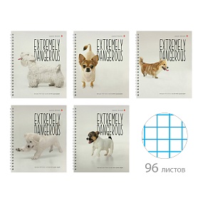 Тетрадь общая Альт®
А5 (168 х 200 мм)
"ОСОБО ОПАСНЫЕ СОБАЧКИ" 96 л., клетка
Арт. 7-96-1353
обложка в ассортименте