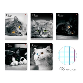 Тетрадь общая Альт®
А5 (165 х 203 мм)
"КОШКИ. ЯРКИЙ ВЗГЛЯД" 48 л., клетка
Арт. 7-48-1019
обложка в ассортименте