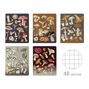 Тетрадь общая BrunoVisconti®
А5 (165 х 203 мм)
"ГРИБНАЯ ФЕЕРИЯ" 48 л., клетка
Арт. 7-48-1325
обложка в ассортименте