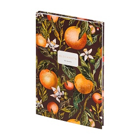 Блокнот Альт®
А4 (200 х 290 мм.)
"FLORA.PARADISE.ORANGES" 80л.
Арт. 3-80-060/21