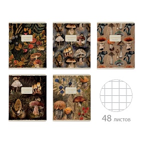 Тетрадь общая BrunoVisconti®
А5 (165 х 203 мм)
"FLORA.FOREST FAIRY TALE" 48 л., клетка
Арт. 7-48-1397
обложка в ассортименте