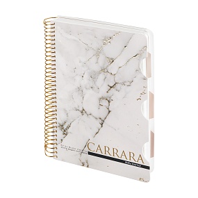 ЗАПИСНАЯ КНИЖКА "DAILY JOURNAL" A5, 200 Л. НА СПИРАЛИ, С РАЗДЕЛИТЕЛЯМИ "CARRARA"
Арт. 3-820/01