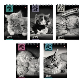 Блокнот Альт®
А5 (127 х 202 мм)
"КОШКИ"  40 л.
Арт. 3-40-462
обложка в ассортименте