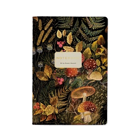 Тетрадь общая BrunoVisconti®
А5 (147 х 210 мм)
"FOREST FAIRY TALE" 40 л., клетка
Арт. 7-40-001/180