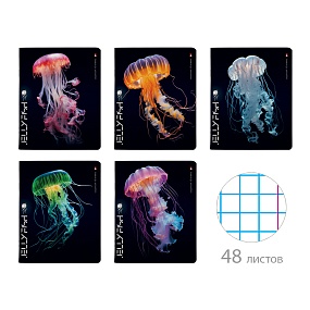 Тетрадь общая Альт®
А5 (165 х 203 мм)
"МЕДУЗЫ ФЕНТЕЗИ" 48 л., клетка
Арт. 7-48-1331
обложка в ассортименте