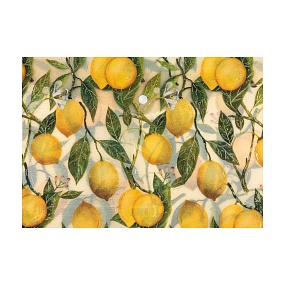 Папка-конверт на кнопке BrunoVisconti®
А4 (33,5 х 23,5  см)
"FLORA.PARADISE.LEMONS"
Арт. 14-036/24