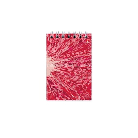 Блокнот Альт®
А7 (68 х 104мм)
"EXOTIC FRUITS" 40 л.
Арт. 3-40-722
