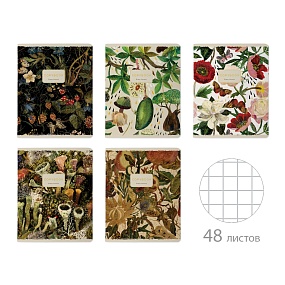 Тетрадь общая BrunoVisconti®
А5 (165 х 203 мм)
"FLORA" 48 л., клетка
Арт. 7-48-1343
обложка в ассортименте