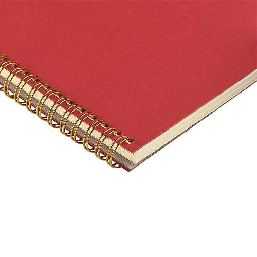 Тетрадь общая BrunoVisconti®
А5 (135 х 198 мм.)
"PRAGMATIC" красный 60 л., линейка
Арт. 7-60-1402/05: фото #2