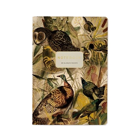 Тетрадь общая BrunoVisconti®
А5 (147 х 210 мм)
"FAUNA.ПТИЦЫ" 40 л., клетка
Арт. 7-40-001/163