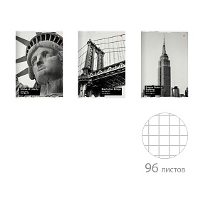 Тетрадь общая Альт®
А4 (208 х 297 мм)
"NYNY" 96 л., клетка
Арт. 7-96-1217
обложка в ассортименте