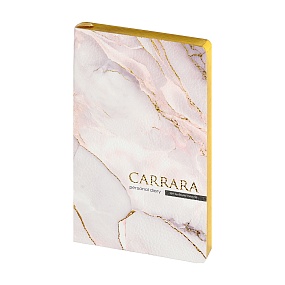 Ежедневник BrunoVisconti® недатированный
А5 (125 х 200 мм)
"CARRARA" 256 стр.
Арт. 3-743/11