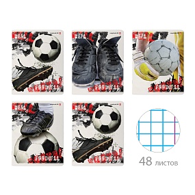 Тетрадь общая Альт®
А5 (165 х 203 мм)
"НАСТОЯЩИЙ ФУТБОЛ" 48 л., клетка
Арт. 7-48-597
обложка в ассортименте
