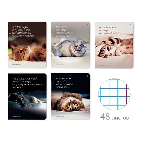 Тетрадь общая Альт®
А5 (165 х 203 мм)
"ПРИКОЛЫ. КОШАЧЬИ МЕЧТЫ" 48 л., клетка
Арт. 7-48-381
обложка в ассортименте