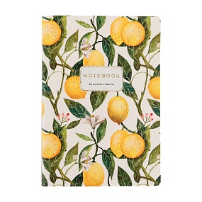 Тетрадь общая BrunoVisconti®
А5 (147 х 210 мм)
"FLORA.ЛИМОНЫ" мультиколор 60 л., клетка
Арт. 7-60-1384/17