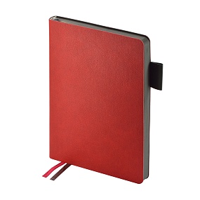 Ежедневник BrunoVisconti® датированный 2027 год
А5 (145 х 207 мм)
"BOSTON" красный 336 стр.
Арт. 3-808/01*