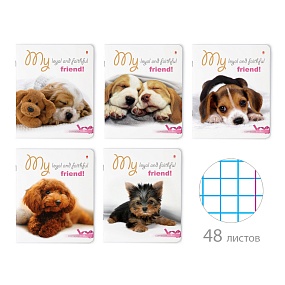 Тетрадь общая Альт®
А5 (165 х 203 мм)
"ЩЕНОЧКИ" 48 л., клетка
Арт. 7-48-211
обложка в ассортименте