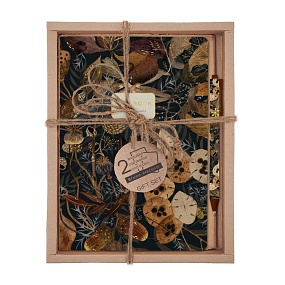 НАБОР ПОДАРОЧНЫЙ "FLORA.Букет осени" (ДВЕ ТЕТРАДИ BV И РУЧКА)
Арт. 7-40-001/158-3