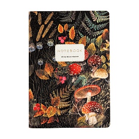Тетрадь общая BrunoVisconti®
А5 (147 х 210 мм)
"FLORA.FOREST FAIRY TALE" мультиколор 60 л., клетка
Арт. 7-60-1384/13