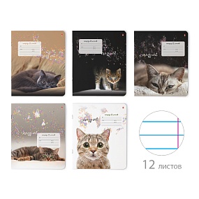 Тетрадь школьная 12 листов Альт®
А5 (165 х 203 мм)
"УДИВИТЕЛЬНЫЕ КОТЯТА" 12 л., линейка
Арт. 7-12-475/2
обложка в ассортименте