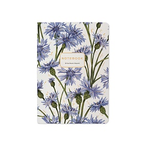 Тетрадь общая BrunoVisconti®
А6 (90 х 125 мм)
"FLORA.ВАСИЛЬКИ" 32 л., клетка
Арт. 7-32-1387/14