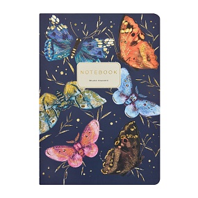 Тетрадь общая BrunoVisconti®
А5 (147 х 210 мм)
"FAUNA.BUTTERFLY DREAMS BLUE" 40 л., клетка
Арт. 7-40-001/206