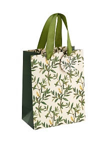 Пакет бумажный упаковочный подарочный BrunoVisconti®
 (180 х 230 х 100 мм)
"FLORA.ОЛИВА"
Арт. 2-851/16