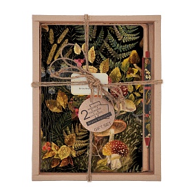 НАБОР ПОДАРОЧНЫЙ "FLORA.Forest Fairy Tale" (ДВЕ ТЕТРАДИ BV И РУЧКА)
Арт. 7-40-001/180-3