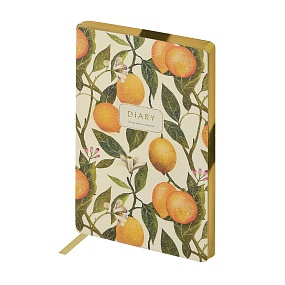 Ежедневник BrunoVisconti® недатированный
А5 (125 х 200 мм)
"FLORA.ЛИМОНЫ" 256 стр.
Арт. 3-743/25