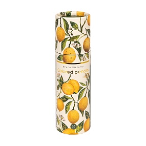 Карандаши цветные BrunoVisconti®
36  цветов, грифель 3 мм
Flora "FLORA.PARADISE.LEMONS"
Арт. 30-0159/04