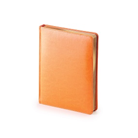 Ежедневник Альт недатированный
А6 (110 х 155 мм), оранжевый, 272 стр.
SIDNEY NEBRASKA
Арт. 3-496/07