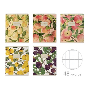 Тетрадь общая BrunoVisconti®
А5 (165 х 203 мм)
"FLORA.FRUITS" 48 л., клетка
Арт. 7-48-1400
обложка в ассортименте