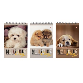 Блокнот Альт®
А5 (127 х 202 мм)
"СЛАДКИЕ ЩЕНЯТА"  40 л.
Арт. 3-40-509
обложка в ассортименте