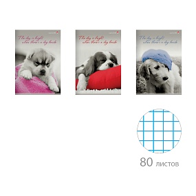 Тетрадь общая Альт®
А4 (208 х 297 мм)
"ЩЕНКИ. КОНТРАСТЫ NEW" 80л., клетка
Арт. 7-80-517
обложка в ассортименте