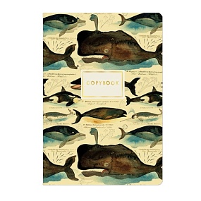 Тетрадь общая BrunoVisconti®
А6 (105 х 148 мм)
"КИТЫ" 32 л., без линовки
Арт. 7-32-004/11